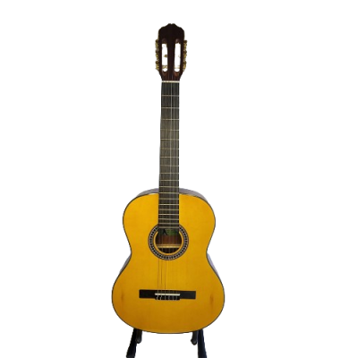 Dream Maker Acoustic Guitar