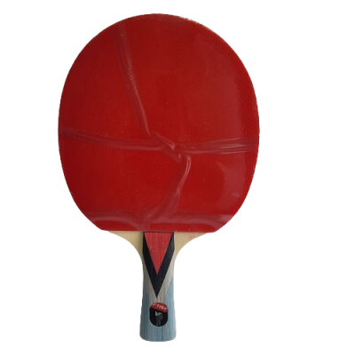 Table Tennis Bat 4 Star