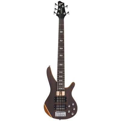 Professional 5 String Bass Guitar