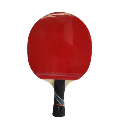 Table Tennis Bat 3 Star